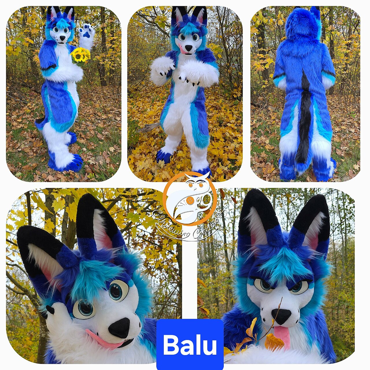 Balu  - Full Fursuit made by WhitewingCrea
