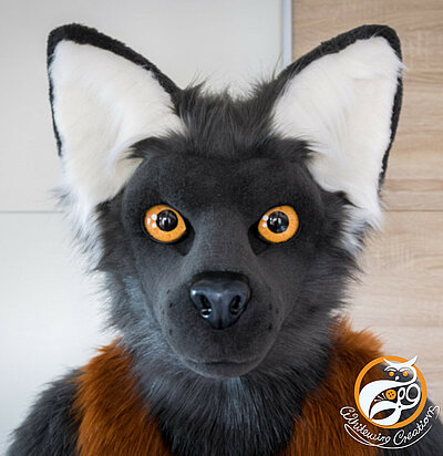Taka Head Gallery - Fursuit Head made by WhitewingCreations - Fursuits made in Germany