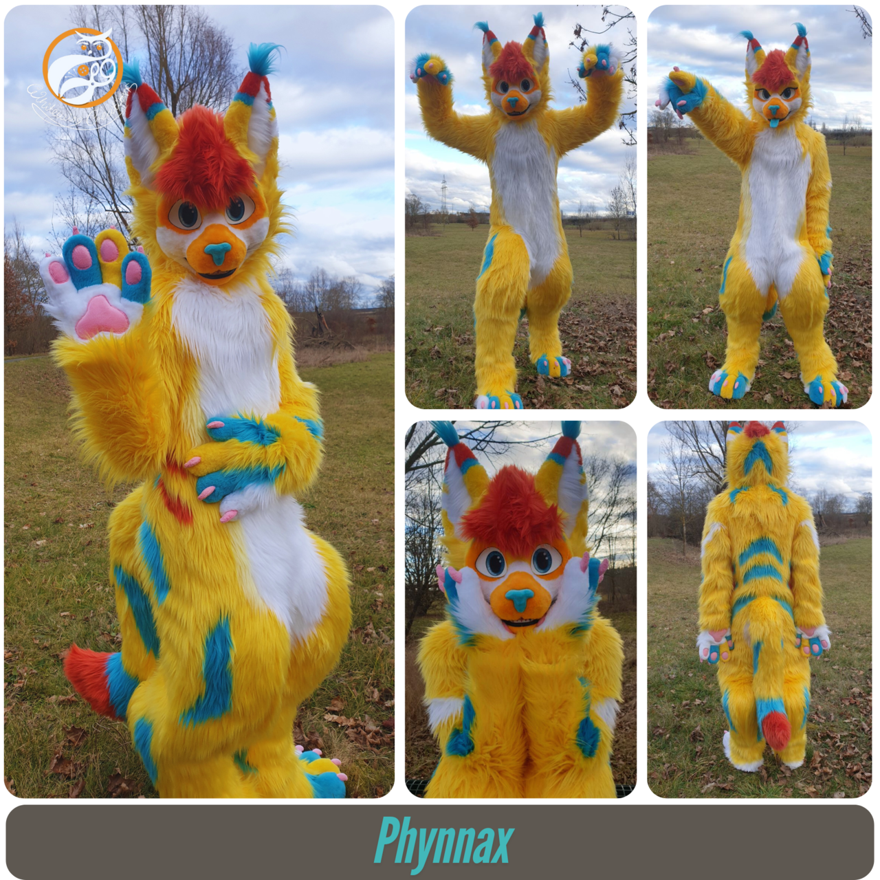 Phynnax  - Full Fursuit made by WhitewingCreations - Fursuits made in Germany
