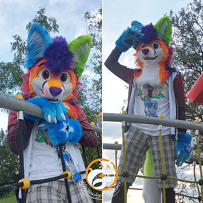 Arcflash Gallery - Partial Fursuit made by WhitewingCreations - Fursuits made in Germany