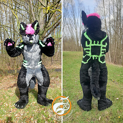 PCB - Full Fursuit made by WhitewingCreations - Fursuits made in Germany