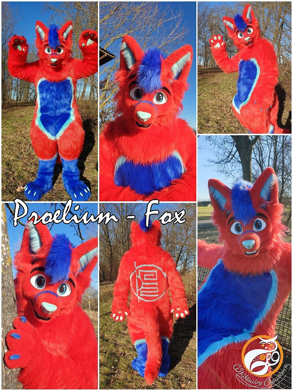 Proelium - Full Fursuit made by WhitewingCreations - Fursuits made in Germany