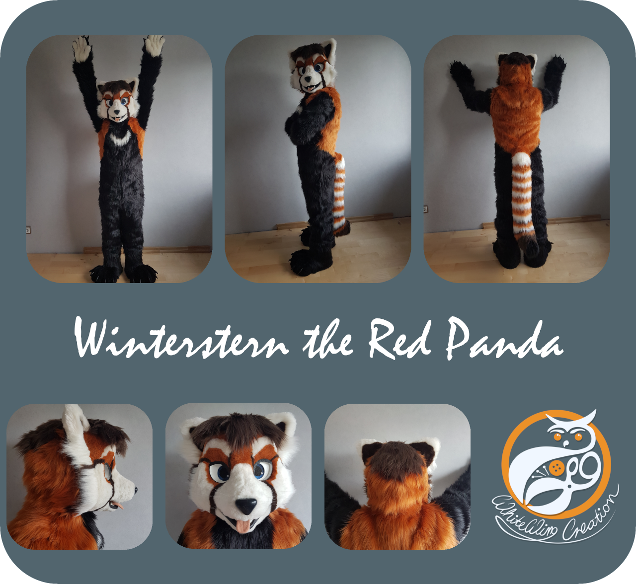 Winterstern Fotocollage - Full Fursuit made by WhitewingCreations - Fursuits made in Germany